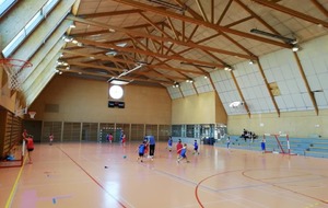 5d7b64de21086_MINIHAND2.jpg