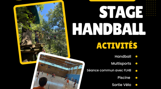 Stage handball du 24 au 28 Aout 2026